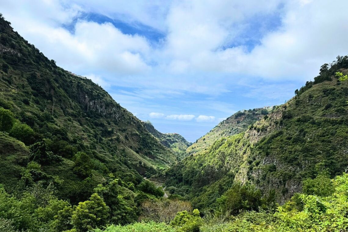 madeira