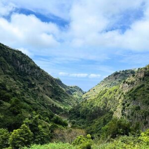 madeira